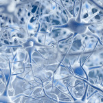 Parkinson's neurofib tangle